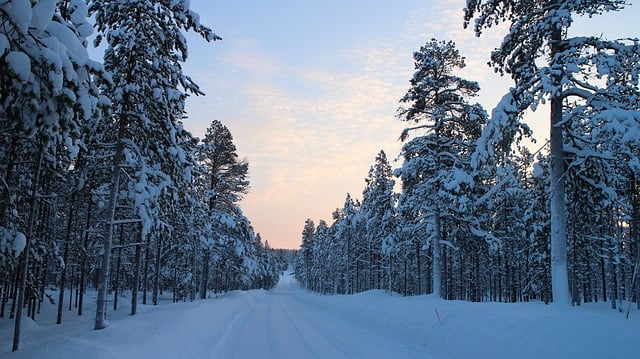How to drive in snow – snow driving tips, tricks, and advice