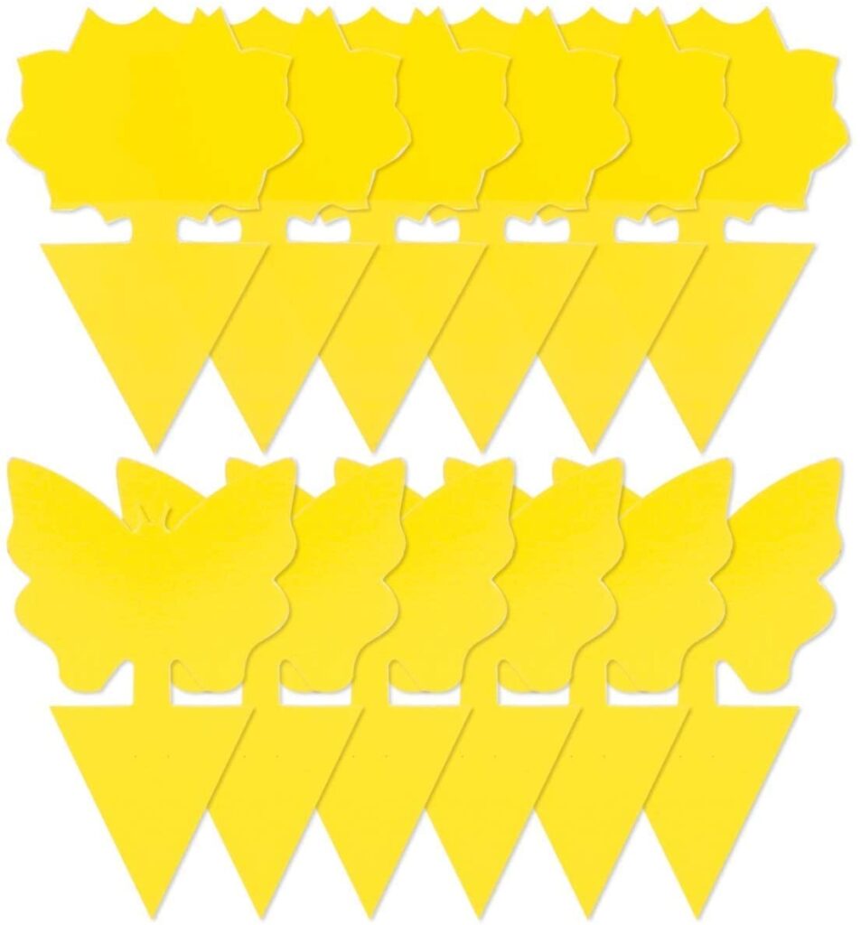 12 Pack Sticky Fruit Fly Trap and Fungus Gnat Traps Killer for Indoor and Outdoor